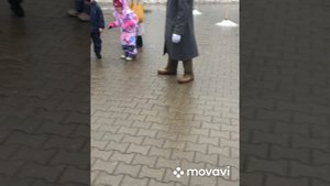 Екатерининский парк . 18.01.2025 г. Москва.