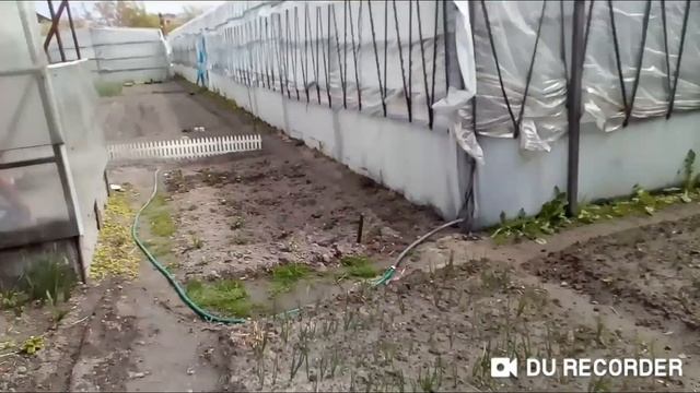 Странное поведение крота.