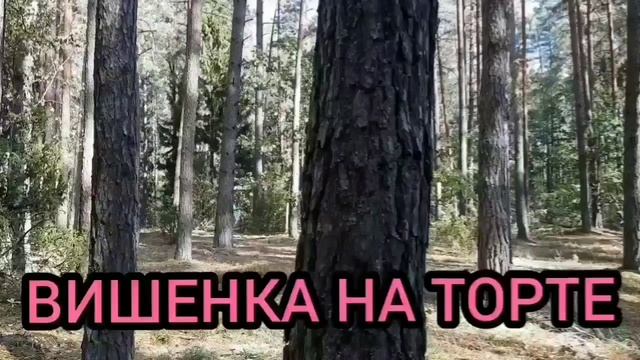ВСЁ СОВСЕМ ПЛОХО С НЕЙ. ANYANASTYA LIFE. ОБЗОР.