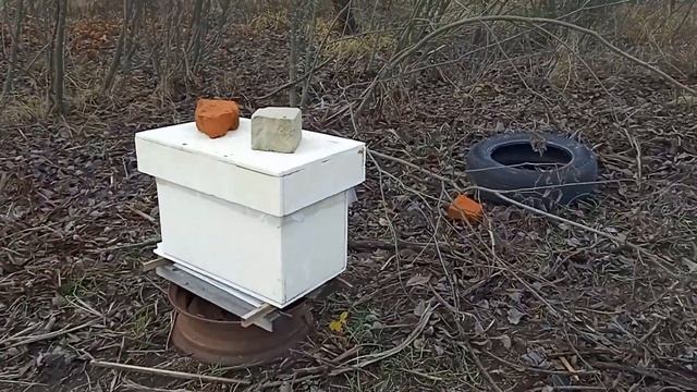 Подготовка к зимовке. Свезли всех пчёл с выездных точков. Покупка манипулятора и вступление в СОЮЗ.