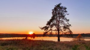 Путешествие в Кенозерский парк. Часть 1. Дорога к Масельге.