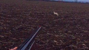 РАЗГОВАРИВАЮ С ЗАЙЦЕМ В ЛЁЖКЕ !!! ОХОТА НА ЗАЙЦА !!!