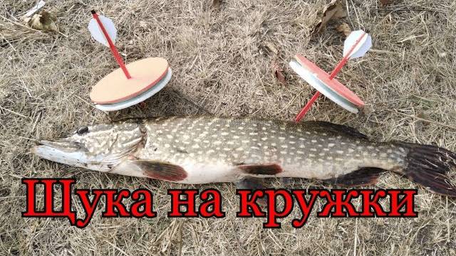 рыбалка на кружки 2020  Ловим щуку на кружки смотреть онлайн