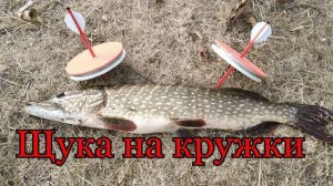 рыбалка на кружки 2020 Ловим щуку на кружки