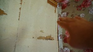 КУПИЛ 2 ДОМА В ДЕРЕВНЕ | КАТЯ ВЗЯЛА ИНИЦИАТИВУ В СВОИ РУКИ | ЧТО МЫ КУПИЛИ ДЛЯ РЕМОНТА