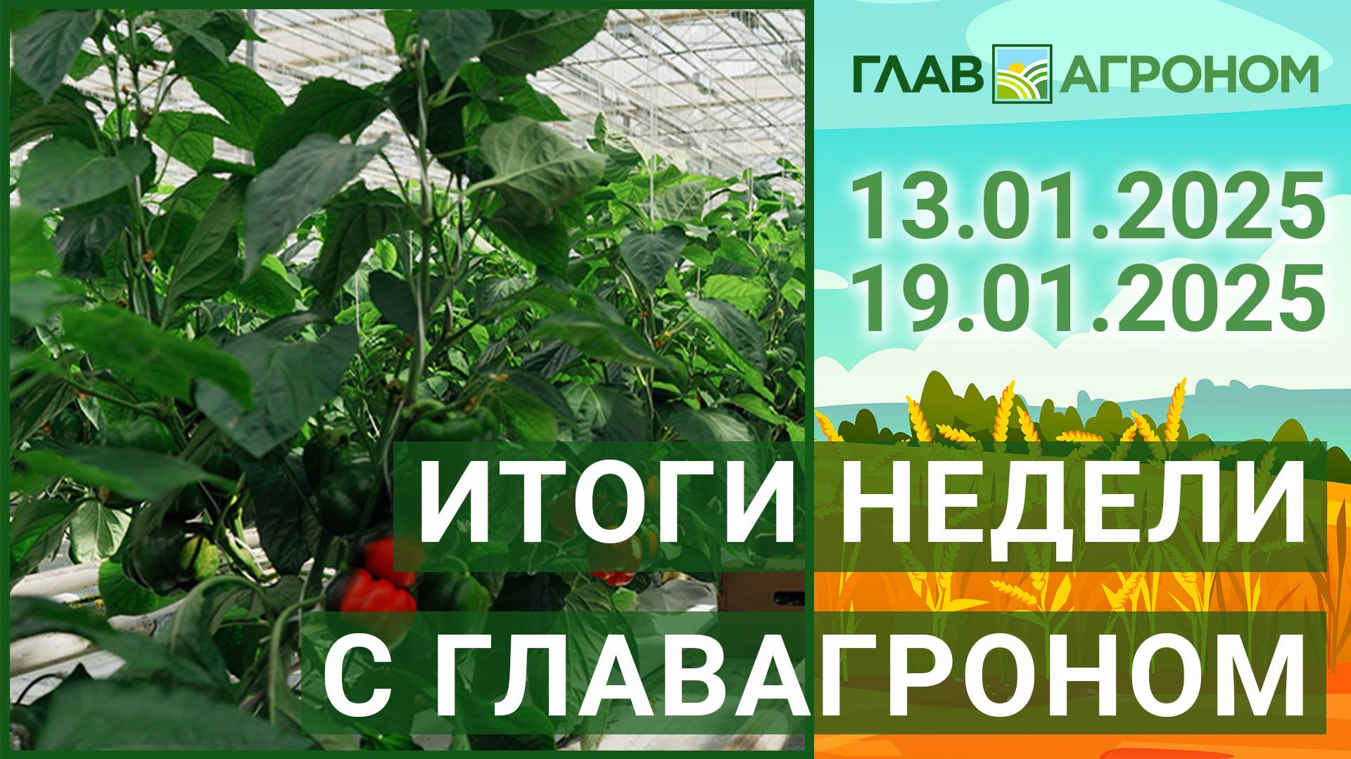 Итоги недели с ГлавАгроном. 13.01.2025 - 19.01.2025