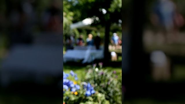 Delicious Yummy 🍰 Quintessential Garden Party With Lemon Meringue Pie In The English Countryside смотреть онлайн