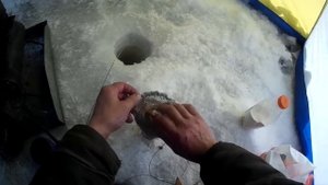 Глухозимье ..... - да ладно) 05.02.2019.