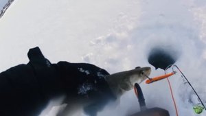 НАШЛИ БЕЛУЮ А ТАММ..| ПРАКТИК 6М ПОДХОДЫ СУДАКА | РЫБАЛКА НА СУДАКА BASSDAY RANGE VIB