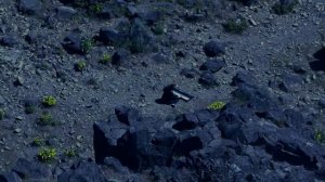 Я ЗНАЮ ИСКУПИТЕЛЬ МОЙ ЖИВ Я ВО ПЛОТИ МОЕЙ УЗРЮ БОГА! ПЕСНЯ МНОГОСТРАДАЛЬНОГО ИОВА! СИМОН ХОРОЛЬСКИ!