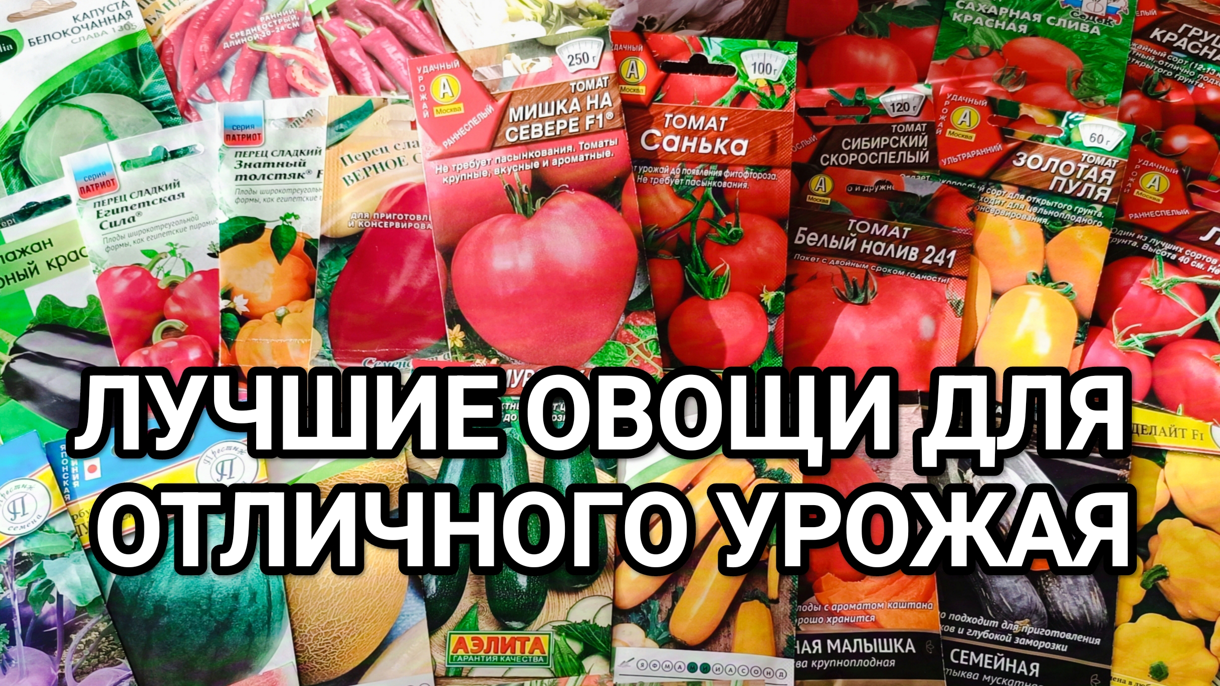 СЕМЕНА ОВОЩЕЙ НА 2025 ГОД// ЛУЧШИЕ ОВОЩИ ДЛЯ СУПЕР УРОЖАЯ