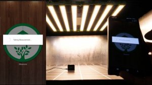 KingBrite Rotatable 800W P55 LM301H EVO LED grow light review