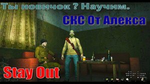 ⭐Stay Out⭐Сталкер-Онлайн👍 Ты новичок? Научим СКС от Алекса. Одиночный Данж .