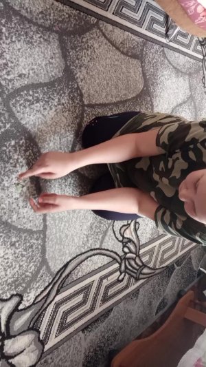 играю в конги