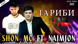 шон мс .гариби