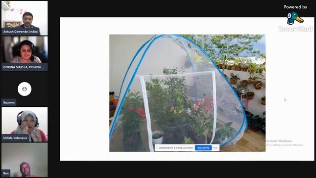 The fantasy of butterflies смотреть онлайн