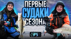 Первые судаки зимнего сезона!