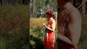 В лес с травницей. Как правильно работать с энергетикой трав