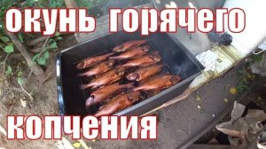 КОПТИТЕ ПРАВИЛЬНО! ОКУНЬ ГОРЯЧЕГО КОПЧЕНИЯ!