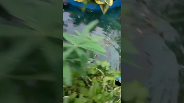 Насосная станция для низкодебитной скважины.