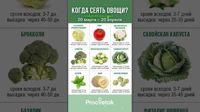 Когда сеять овощи на рассаду в 2025 году? Сохраняйте в закладки! В помощь огороднику