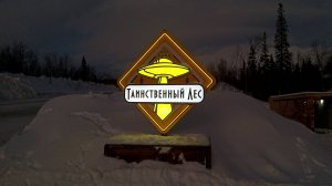 Таинственный лес