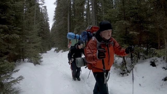 Карпаты 2021 смотреть онлайн