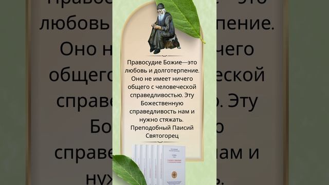 Что такое Правосудие Бога? Объясняет преподобный старец Паисий Святогорец #паисийсвятогорец #чтение смотреть онлайн