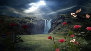 Taqdir haqida - Abdulloh Domla | Такдир хакида - Абдуллох Домла