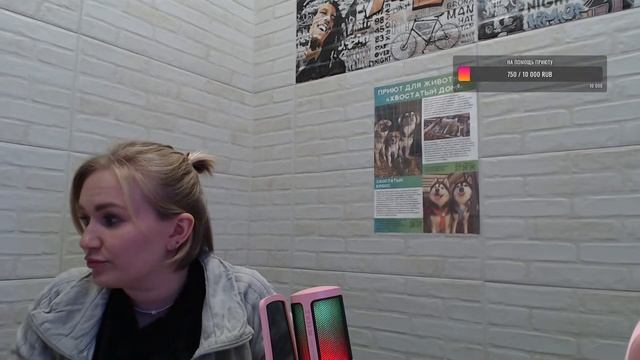 Ситуация с бездомными животными. смотреть онлайн