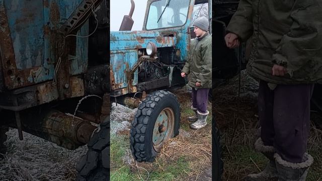 когда??? ТГК:DanilaFermer #восстановление #ремонт #МТЗ #мтз50 #farming #животные #farmlive  #shorts