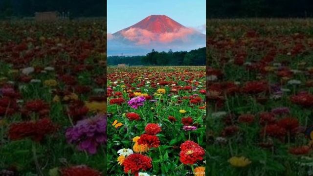 Кутман тан смотреть онлайн