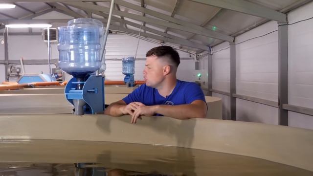 Автокормушки на Акваферме