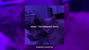 поцелуй меня последний раз, как только сможешь.. (speed up)