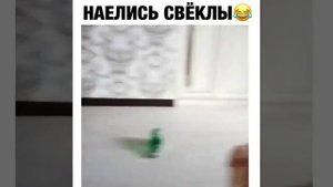Дети наелись свёклы.mp4