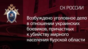 Возбуждено уголовное дело в отношении украинских боевиков, причастных к убийству мирного населения