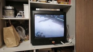 Обзор на диск Чучело-Мяучело. Сборник мультфильмов