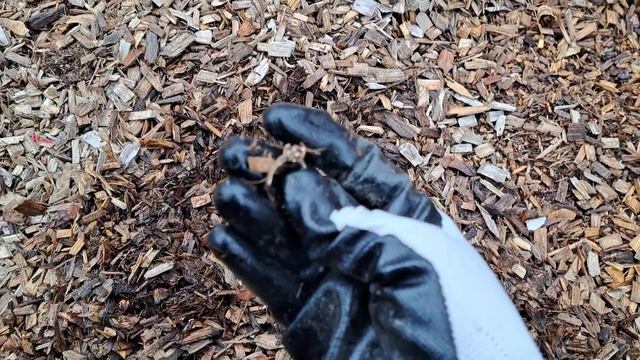 We braved the cold to go on a Metal Detecting Adventure!!! смотреть онлайн