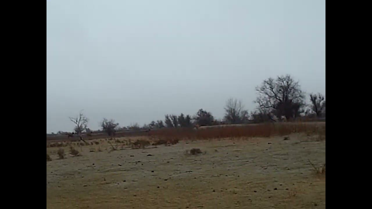 25.12.2024 ЧТО ДЕЛАТЬ? : ЛПХ В ОПАСНОСТИ смотреть онлайн