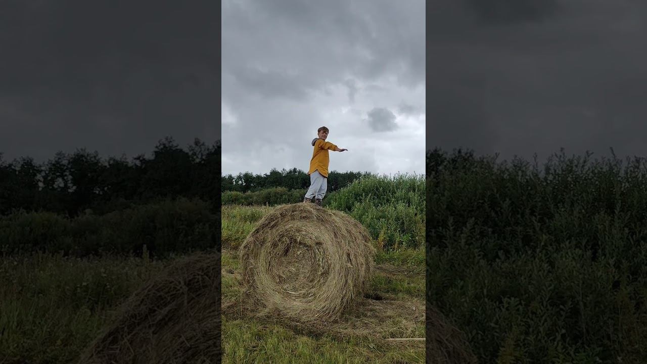 СеНоКоС смотреть онлайн