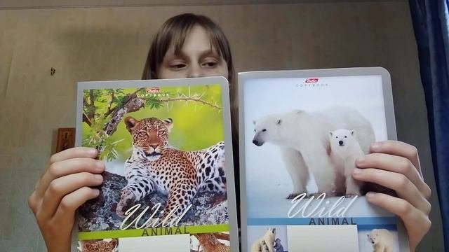 Моя новая  канцелярия.