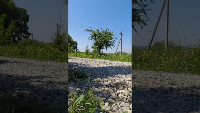 Honda CB500 🔥 смотреть онлайн