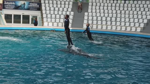 Дельфинарий 🐬🐬🐬 г. Евпатория смотреть онлайн