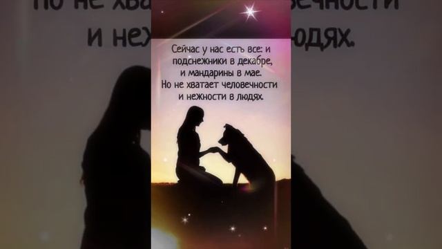 Цитаты - Умные Мысли 👍 #жизнь #красота #всемдобра