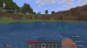 Manhunt | The Minecraft Series [9]