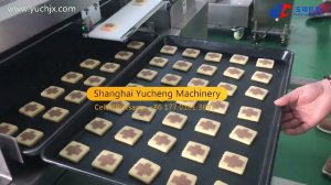 Cross Letter Square Ice box cookies slicing cookies making machine