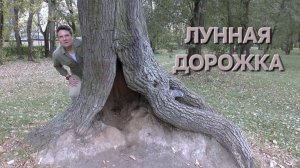 Сергей Таюшев мл. "Лунная дорожка"