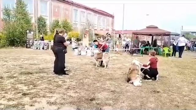 16.07.23 Челябинск моно МС смотреть онлайн