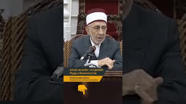 Аллах во всём, что делает Мудр и Всемилостив смотреть онлайн