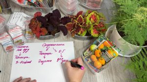 Готовлюсь к дачному сезону! Выбираю урожайные ТОМАТЫ. Какие Помидоры устойчивы к болезням